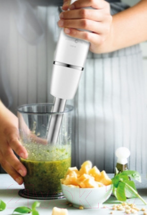 Изображение товара Блендер погружной Moulinex DD94J110