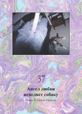 Изображение товара Книга Попурри Магическая сила тонкого мира (Купер Дж.)