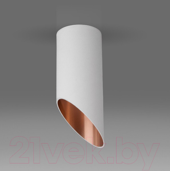 Изображение товара Точечный светильник Elektrostandard DLN114 GU10 (белый/золото)