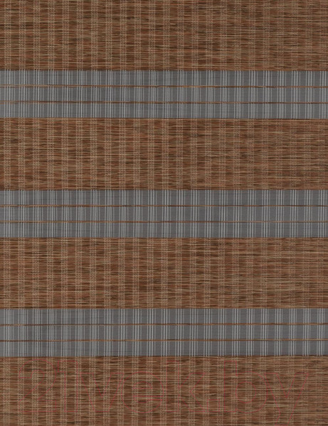 Изображение товара Рулонная штора Delfa Сантайм День-Ночь Бамбук МКД DN-42905 (48x160, мокка)