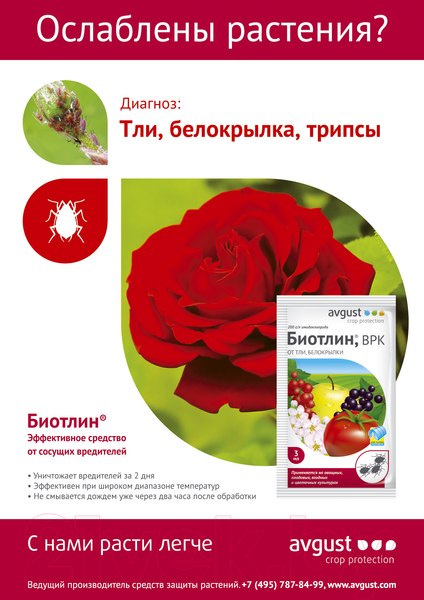 Изображение товара Инсектицид Avgust Биотлин (9мл)