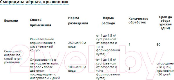 Изображение товара Фунгицид Avgust Бордоская жидкость (100мл)