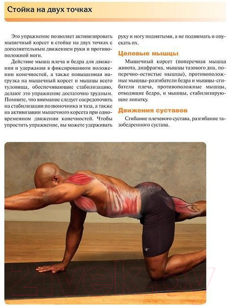 Изображение товара Книга Попурри Мышечная механика (Ааберг Э.)