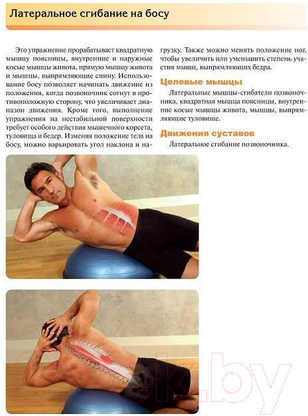 Изображение товара Книга Попурри Мышечная механика (Ааберг Э.)