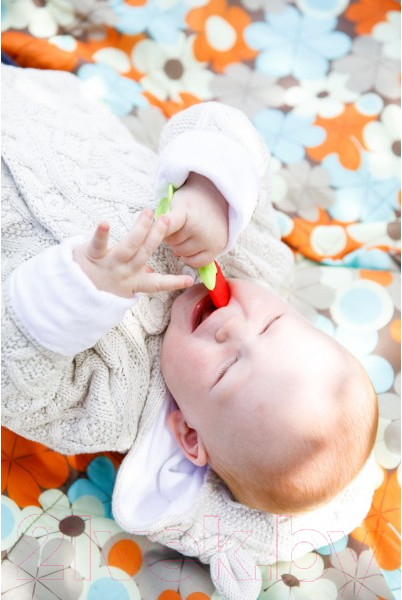 Изображение товара Прорезыватель для зубов Пома Земляника 4+ / 2513