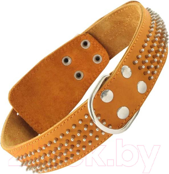 Изображение товара Ошейник Gamma Еж / 11232042