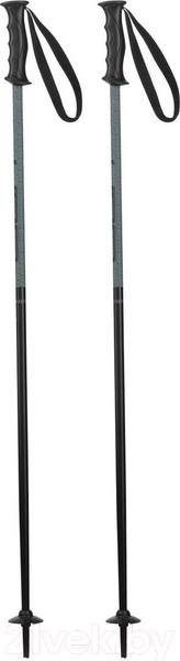 Изображение товара Горнолыжные палки Elan HotRod JR / CD883818 (р.80, черный)