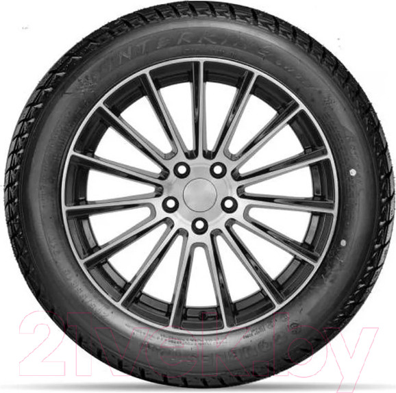Изображение товара Зимняя шина DoubleStar DW01 225/55R18 98T (шипы)