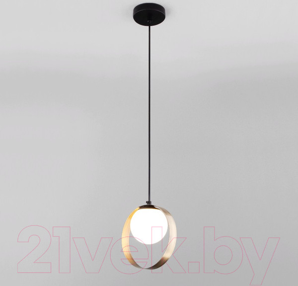 Изображение товара Потолочный светильник Евросвет Dublin 50205/1 (черный/бронза)