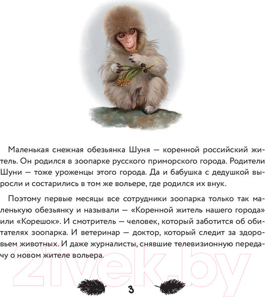 Изображение товара Книга Эксмо Тайна снежной обезьяны (Мартиросова М.)