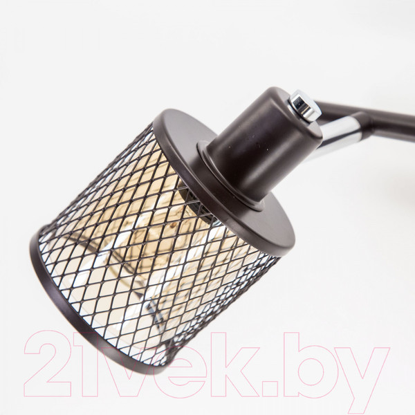 Изображение товара Спот Citilux Робин CL535625