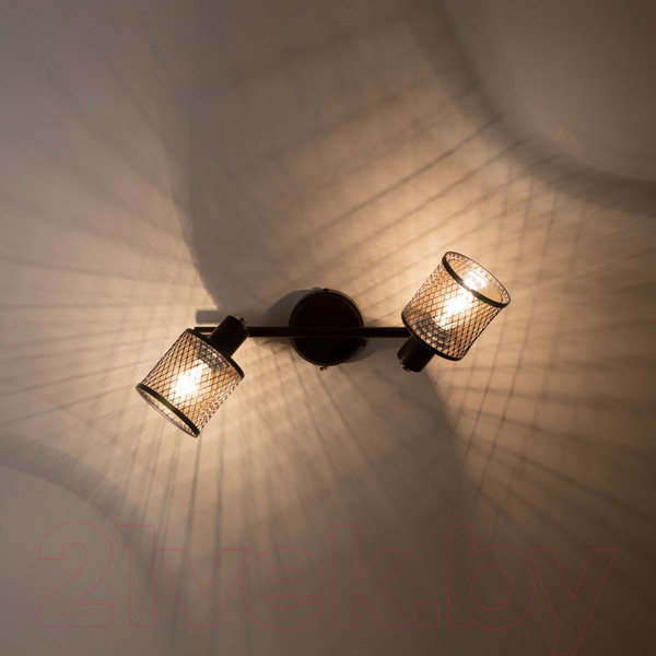 Изображение товара Спот Citilux Робин CL535625