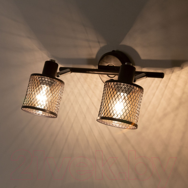 Изображение товара Спот Citilux Робин CL535625