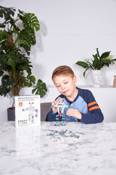 Изображение товара Конструктор Десятое королевство Робот Р1 / 2212