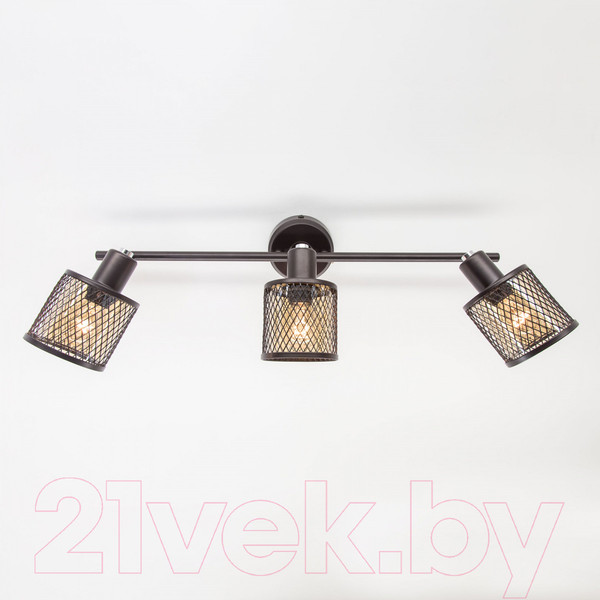 Изображение товара Спот Citilux Робин CL535635