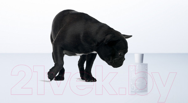 Изображение товара Парфюмерная вода Juliette Has A Gun Anyway (100мл)