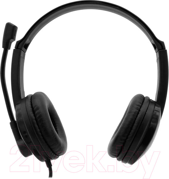 Изображение товара Наушники-гарнитура Accutone UB101 USB