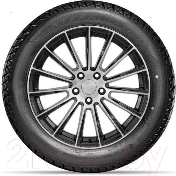 Изображение товара Зимняя шина DoubleStar DW01 225/60R18 100Q (шипы)