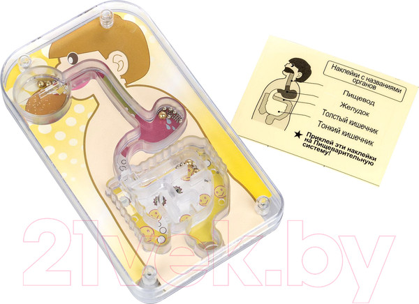 Изображение товара Научная игра Bondibon Японские опыты. Система пищеварения / ВВ4727