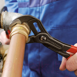 Изображение товара Клещи переставные Knipex Cobra 8701125