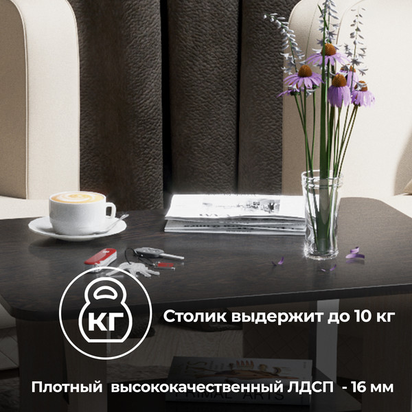 Изображение товара Журнальный столик ТриЯ Тип 8 (венге цаво /дуб белфорт)