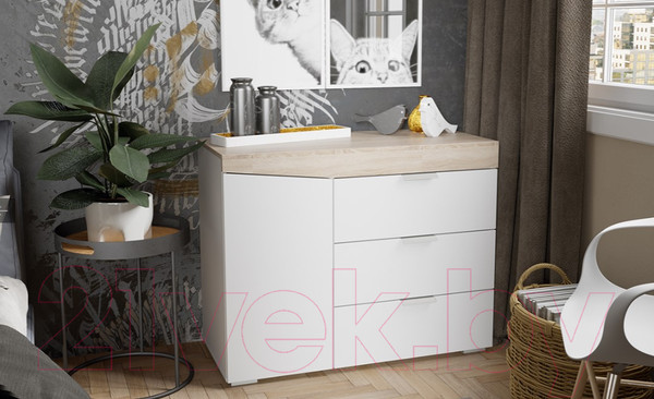 Изображение товара Тумба ТриЯ Тип 1 (дуб сонома/белый ясень)