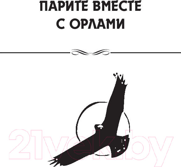 Изображение товара Книга Попурри Парите вместе с орлами (Ньюмен Б.)