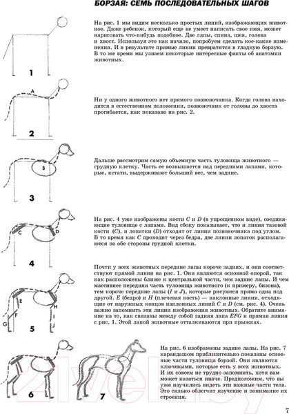 Изображение товара Книга Попурри Как рисовать животных (Хамм Дж.)