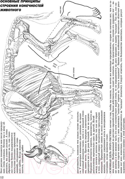 Изображение товара Книга Попурри Как рисовать животных (Хамм Дж.)