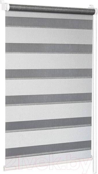 Изображение товара Рулонная штора Delfa Сантайм День Ночь Лагос СРШ-01МК 4482 (48x160, белый/серебристый)