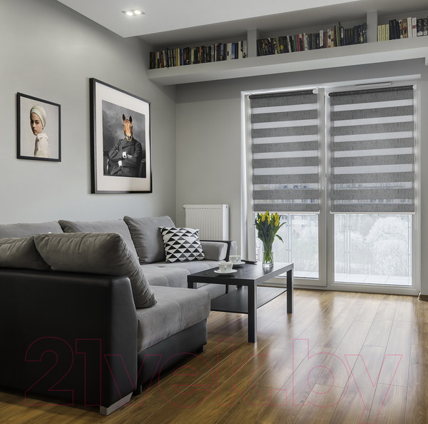 Изображение товара Рулонная штора Delfa Сантайм День Ночь Лагос СРШ-01МК 4486 (48x160, серый)