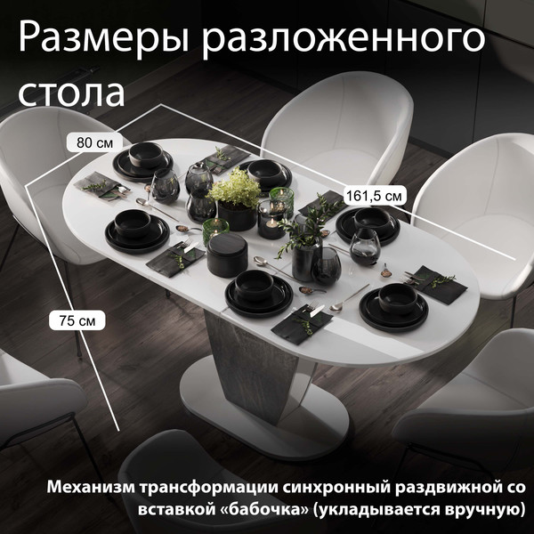 Изображение товара Обеденный стол ТриЯ Монреаль тип 1 (белый глянец/моод темный)