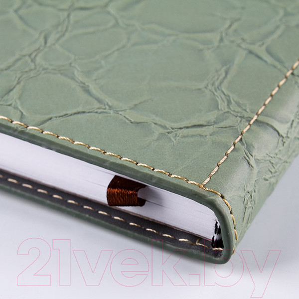 Изображение товара Ежедневник Darvish DV-12838 (120л)