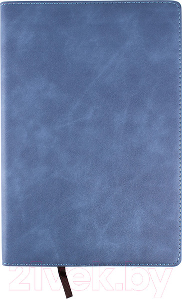 Изображение товара Ежедневник Darvish DV-12842 (120л)