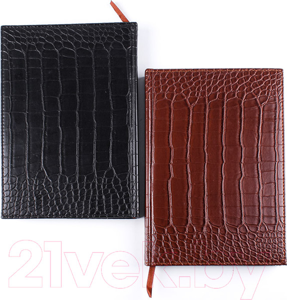 Изображение товара Ежедневник Darvish DV-12843 (120л)