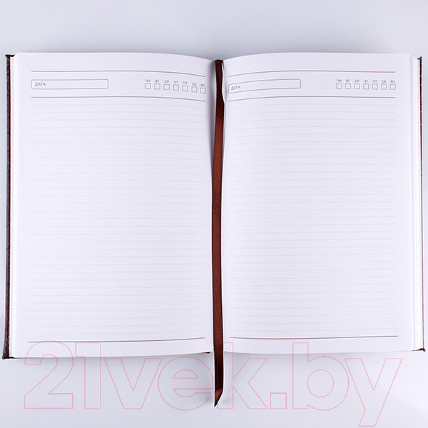 Изображение товара Ежедневник Darvish DV-12843 (120л)