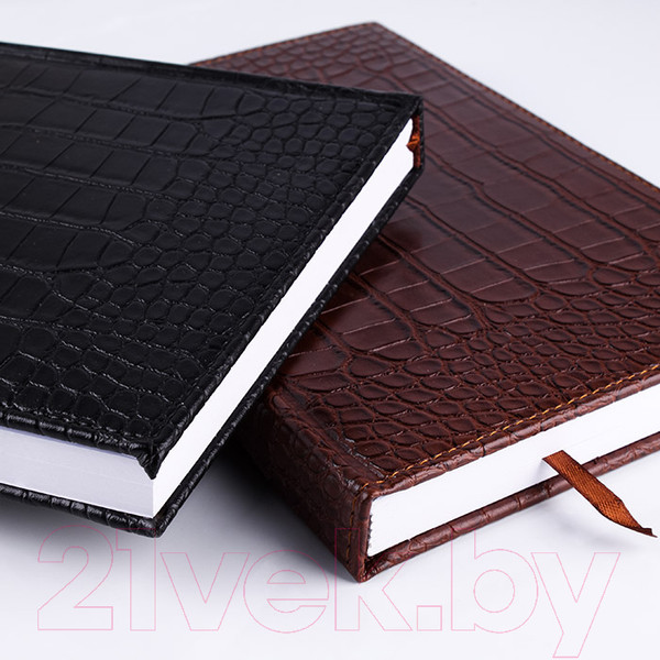 Изображение товара Ежедневник Darvish DV-12843 (120л)