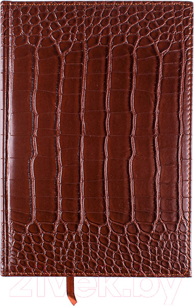 Изображение товара Ежедневник Darvish DV-12843 (120л)