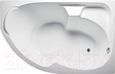 Изображение товара Ванна акриловая 1Марка Diana 160x100 R (с каркасом)