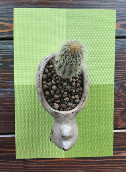 Изображение товара Кашпо Нашы майстры Кот 1159 (песочный)