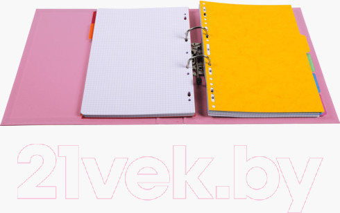 Изображение товара Папка-регистратор Exacompta 53555E (розовый)