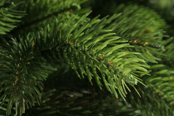 Изображение товара Ель искусственная Царь елка Беверли / БВР-150