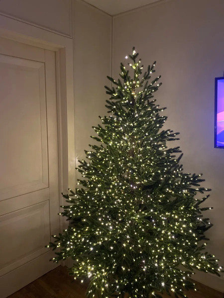 Изображение товара Ель искусственная Царь елка Сапфир / СФ-185