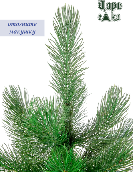Изображение товара Сосна искусственная Царь елка Триумфальная 180 / ТМ-180