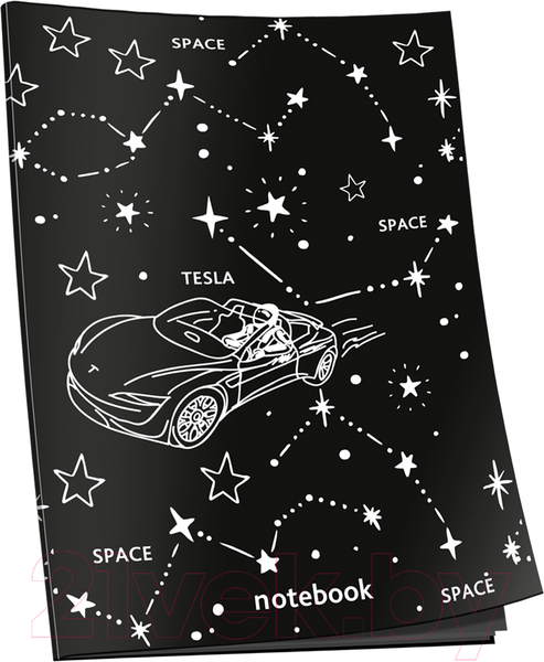 Изображение товара Записная книжка Попурри Тесла