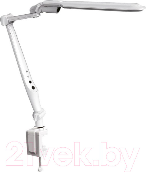 Изображение товара Настольная лампа ArtStyle TL-402CW (белый)