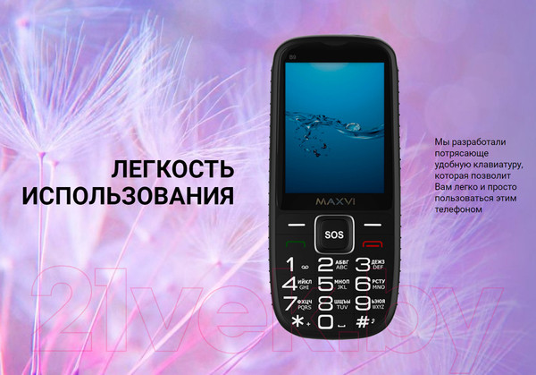 Изображение товара Мобильный телефон Maxvi B9 (красный)