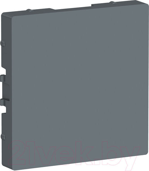 Изображение товара Декоративная заглушка для розетки Systeme (Schneider) Electric AtlasDesign ATN000709