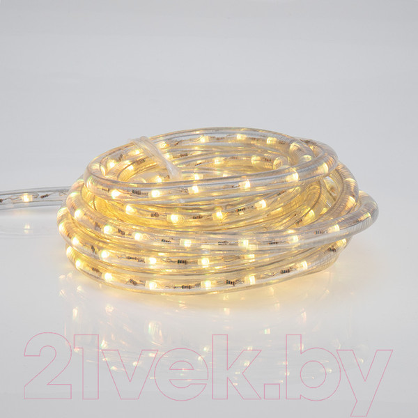 Изображение товара Светодиодный шнур (дюралайт) Neon-Night 245-109 (6м)