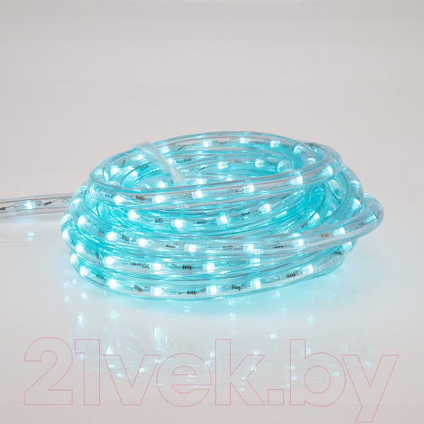 Изображение товара Светодиодный шнур (дюралайт) Neon-Night 245-109 (6м)
